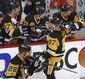 blue_jackets_penguins_hockey_99518.jpg