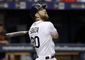 tigers_rays_baseball_97524.jpg