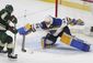 blues_wild_hockey_20995.jpg