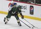 blues_wild_hockey_50601.jpg