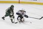 blues_wild_hockey_91595.jpg