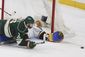 blues_wild_hockey_93334.jpg