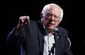 Democrats_Sanders_Youth_22967.jpg-a902f.jpg