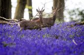 Britain_Weather_69620.jpg-106c7.jpg