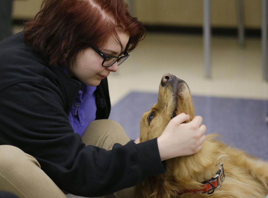 In this Monday, March 13, 2017 photo, Sophie Herrick pets Banks as students and teachers gather for an all-school meeting called "circle" at Hope Academy in Indianapolis. For teenagers in treatment for addiction, returning to school means resisting offers to get high with old friends. Researchers said these kids do better at special “recovery schools” that use peer pressure in a different way, to support sobriety. (AP Photo/Michael Conroy)