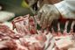 feral_hogs_for_dinner_41192.jpg