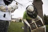 hive_of_learning_16215.jpg