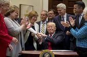 trump_04334.jpg