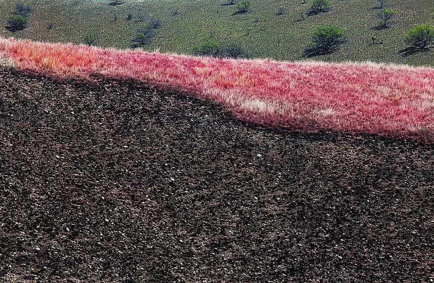 A swath of fire retardant treated land separates a charred area and an untouched portion of the fields in Sonoita, Ariz., on Wednesday, April 26, 2017. Calmer winds provided some temporary relief Wednesday as crews worked to contain a southern Arizona wildfire but residents of hundreds of homes remained under pre-evacuation notices. (Mark Levy/Sierra Vista Herald via AP)