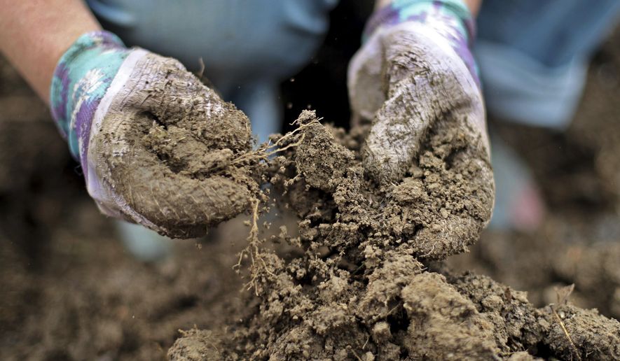 Marisa Tobey breaks up a clump of moist while weeding her garden, Thursday, April 28, 2017, in Freeport, Maine. Northern New England&#x27;s annual mud season is expected to last into May this year. (AP Photo/Robert F. Bukaty)