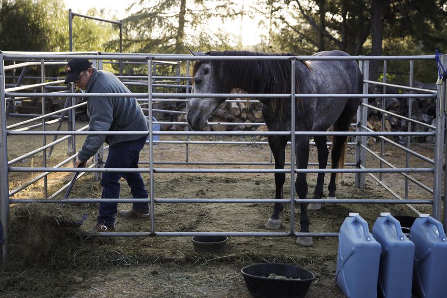 In this Wednesday, April 19, 2017 photo, Iraq war veteran Colt Romberger cleans a stall before taking his horse, Gus, for a workout in Santa Clarita, Calif. Romberger is training his horse for a ride from California to the Vietnam War Memorial in Washington in hopes to raise money for veterans causes and tell the public about the devastating effects Agent Orange has had on the bodies of now-aging veterans of the Vietnam War. His father, a Vietnam War veteran, died of a brain disease associated with Agent Orange. (AP Photo/Jae C. Hong)