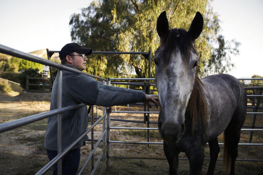 In this Wednesday, April 19, 2017 photo, Iraq war veteran Colt Romberger interacts with his horse, Gus, before their morning workout in Santa Clarita, Calif. Romberger is training his horse for a ride from California to the Vietnam War Memorial in Washington in hopes to raise money for veterans causes and tell the public about the devastating effects Agent Orange has had on the bodies of now-aging veterans of the Vietnam War. His father, a Vietnam War veteran, died of a brain disease associated with Agent Orange. (AP Photo/Jae C. Hong)