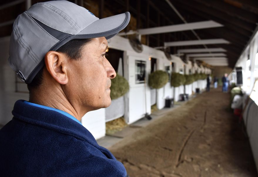 Baldemar Bahena, assistant trainer to Dale Romans, checks on his horses being bathed at the backside of Churchill Downs, Tuesday, April. 18, 2017, in Louisville, Ky. Immigrants have become indispensable at Churchill Downs and other tracks. Now, fear is spreading that a Trump administration crackdown on immigration will be a calamity both for the tracks and for many of their workers. (AP Photo/Timothy D. Easley)