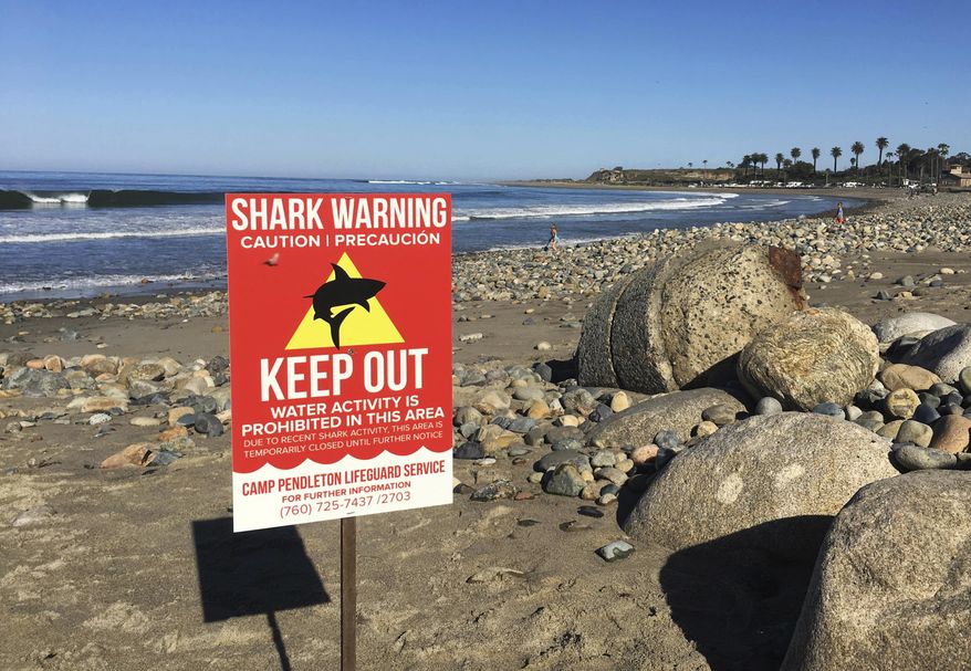 In this Sunday, April 30, 2017 photo, a sign warns beach goers at San Onofre State Beach after a woman was attacked by a shark in the area Saturday, along the Camp Pendleton Marine base in San Diego County, Calif. The beach remained closed Sunday. (Laylan Connelly/The Orange County Register via AP)