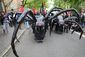 may_day_portland_30481.jpg