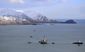 trump_offshore_drilling_36684.jpg