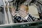 britain_royals_46647.jpg