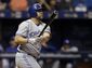 blue_jays_rays_baseball_51810.jpg