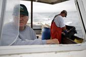 lobster_decline_41412.jpg