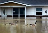 severe_weather-flooding_77167.jpg