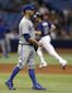 blue_jays_rays_baseball_10109.jpg