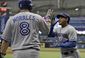 blue_jays_rays_baseball_19874.jpg