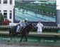 kentucky_derby_horse_racing_66266.jpg