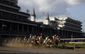 kentucky_derby_horse_racing_69980.jpg
