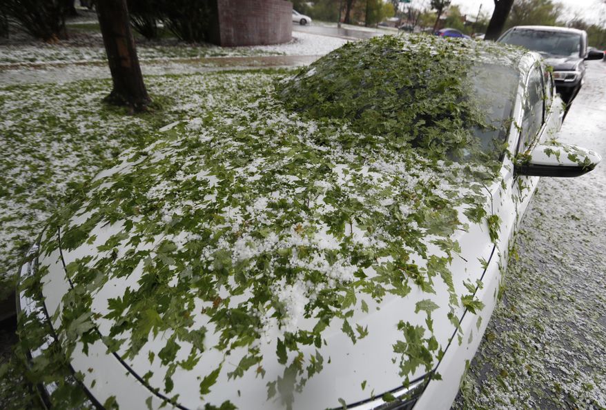 Leaves, stripped by a hailstorm, blanket a Honda Accord as a spring storm, packing high winds, heavy rains and hail, sweeps over Colorado's Front Range just before the afternoon rush hour starts Monday, May 8, 2017, in Denver. (AP Photo/David Zalubowski)