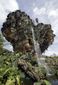 disney_pandora_world_of_avatar_24936.jpg