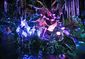 disney_pandora_world_of_avatar_26414.jpg