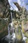 disney_pandora_world_of_avatar_50756.jpg