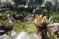 disney_pandora_world_of_avatar_61082.jpg