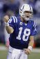 colts_manning_retired_number_football_83571.jpg