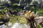 disney-avatar_land_01725.jpg