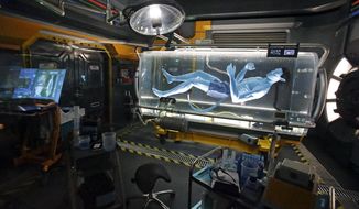 FILE - This Saturday, April 29, 2017, file photo, shows a Na&#39;vi in a science lab while in the queue for the Avatar Flight of Passage ride at Pandora-World of Avatar land attraction in Disney&#39;s Animal Kingdom theme park at Walt Disney World in Lake Buena Vista, Fla. You may not have thought much about the movie “Avatar” or its dazzling 3-D effects over the past eight years, but Disney sure has. And the Magic Kingdom is wagering a reported half-billion dollars that millions of people will line up for a new theme park based on the movie’s bioluminescent world of Pandora. (AP Photo/John Raoux, File)