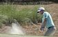 players_championship_golf_40938.jpg