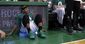 wizard_celtics_basketball_59081.jpg