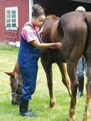 exchange_rural_vet_29673.jpg