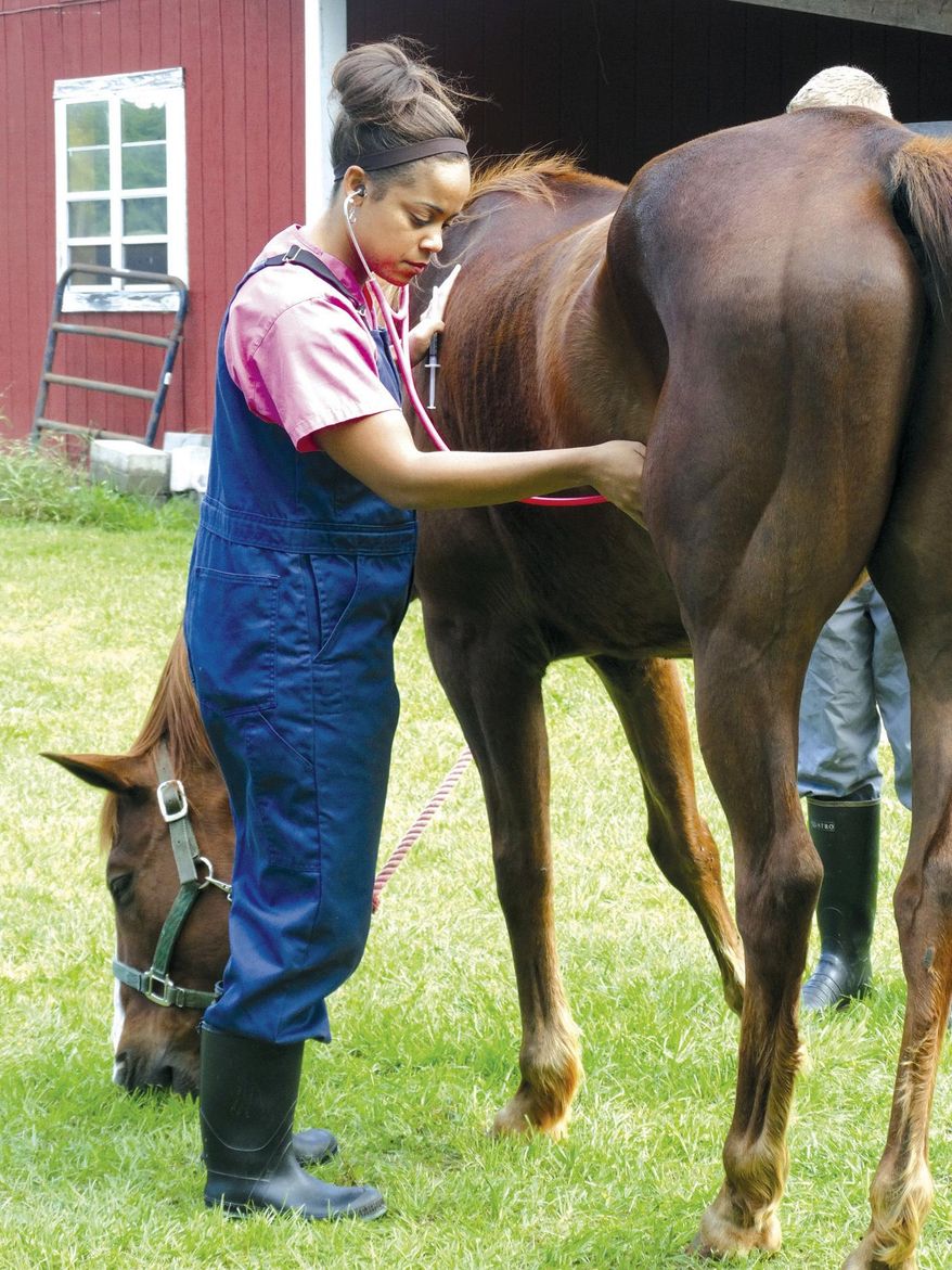 In this Friday, May 5, 2017 photo, Dr. Sarah Blackwell, of Ark Veterinary Services, gives Jackpot the horse a physical exam before floating his teeth in Dalzell, S.C. (Melanie Smith /The Item via AP)