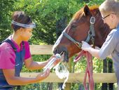 exchange_rural_vet_88403.jpg