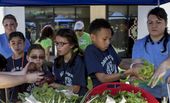las_vegas_school_gardens_27173.jpg
