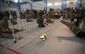 afghanistan_invictus_games_44415.jpg