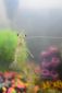 exchange-shrimp_producers_27794.jpg
