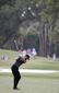 players_championship_golf_16653.jpg