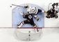 predators_ducks_hockey_17303.jpg