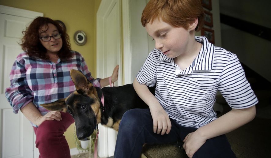 In this Thursday, May 11, 2017 photo Susan Grenon, left, chats with her son Pauly, right, as their pet German Shepherd "Ginger," center, looks on in an entryway to their home, in Smithfield, R.I. Guenon makes sure her son is lathered with sunscreen before he leaves for school in the morning, but the red-headed 10-year-old can't bring a bottle to reapply it without a doctor's note. (AP Photo/Steven Senne)