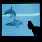 In this April 28, 2017, photo, a woman takes part in a yoga class near a viewing portal to a dolphin habitat at the Mirage hotel and casino in Las Vegas. (AP Photo/John Locher)