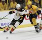 ducks_predators_hockey_42341.jpg