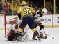 ducks_predators_hockey_45120.jpg